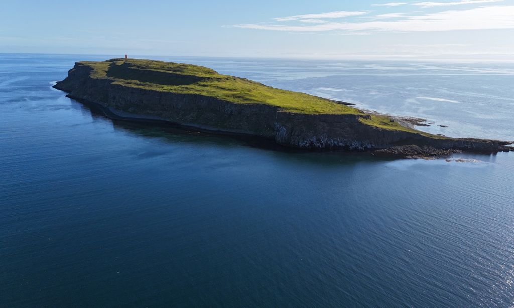 untitled design (14)