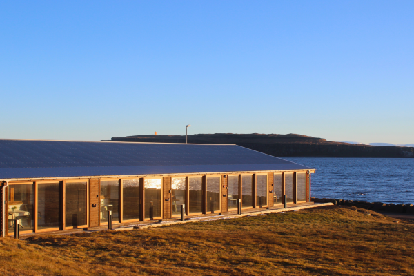 untitled design (11)