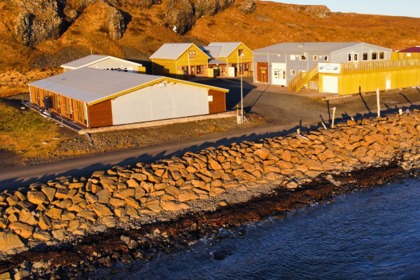 untitled design (12)